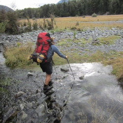 dry feet