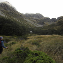 upper travers hut