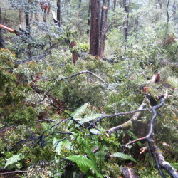 bush bashing