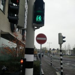 Utrecht pedestrian signals are different.
