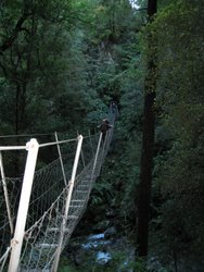 Maaike on a swing bridge