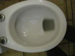 Toilet with ledge (Oddity #2)
