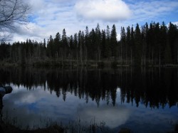 reflection