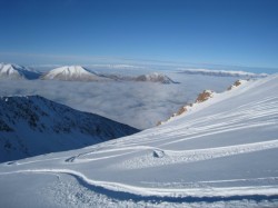 Powder!