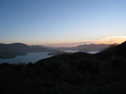 view