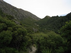 Pinnacles Hut