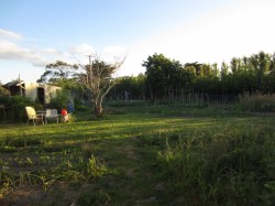 how does your garden grow?