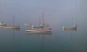 IMAG0196