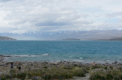 DSC01183