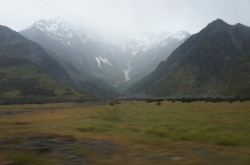 DSC01210
