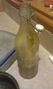 IMAG0693