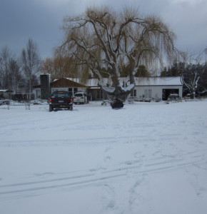 STA_0120_v1