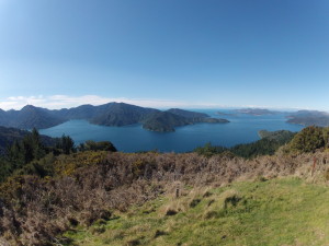 DCIM100GOPRO