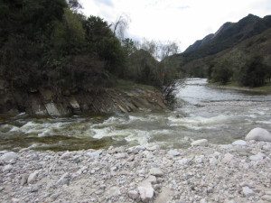 stream
