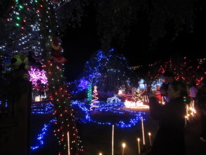 Crazy Lights