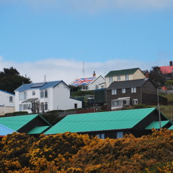 Super patriotic are the Falklanders